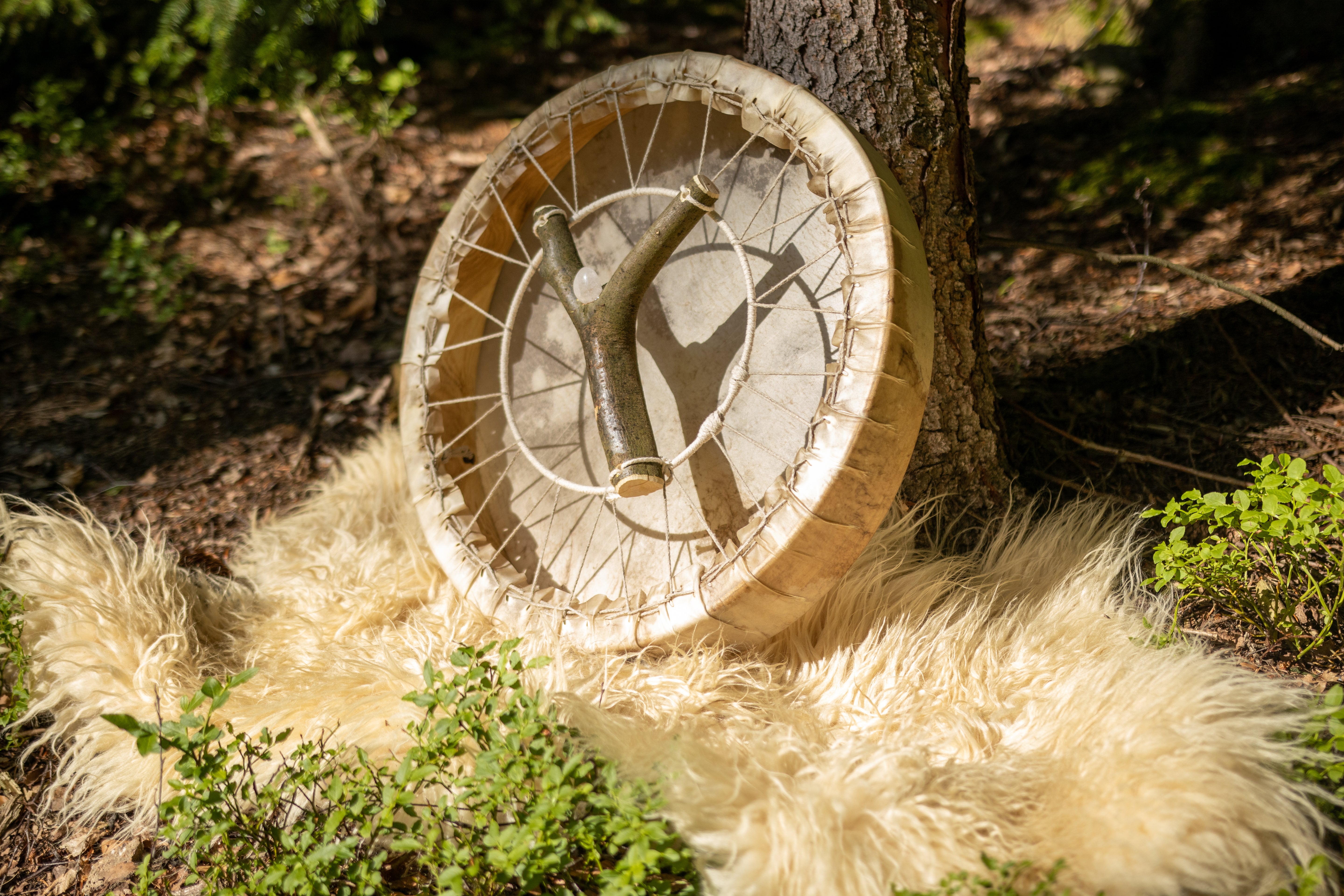 Rahmentrommel lehnt an einem Baum auf einem Lammfell. Astgabel mit Bergkristall und Kuhfell Bespannung 